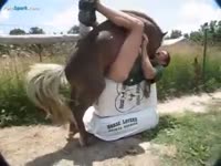 Gay beastie gal got fucked by horse xxx